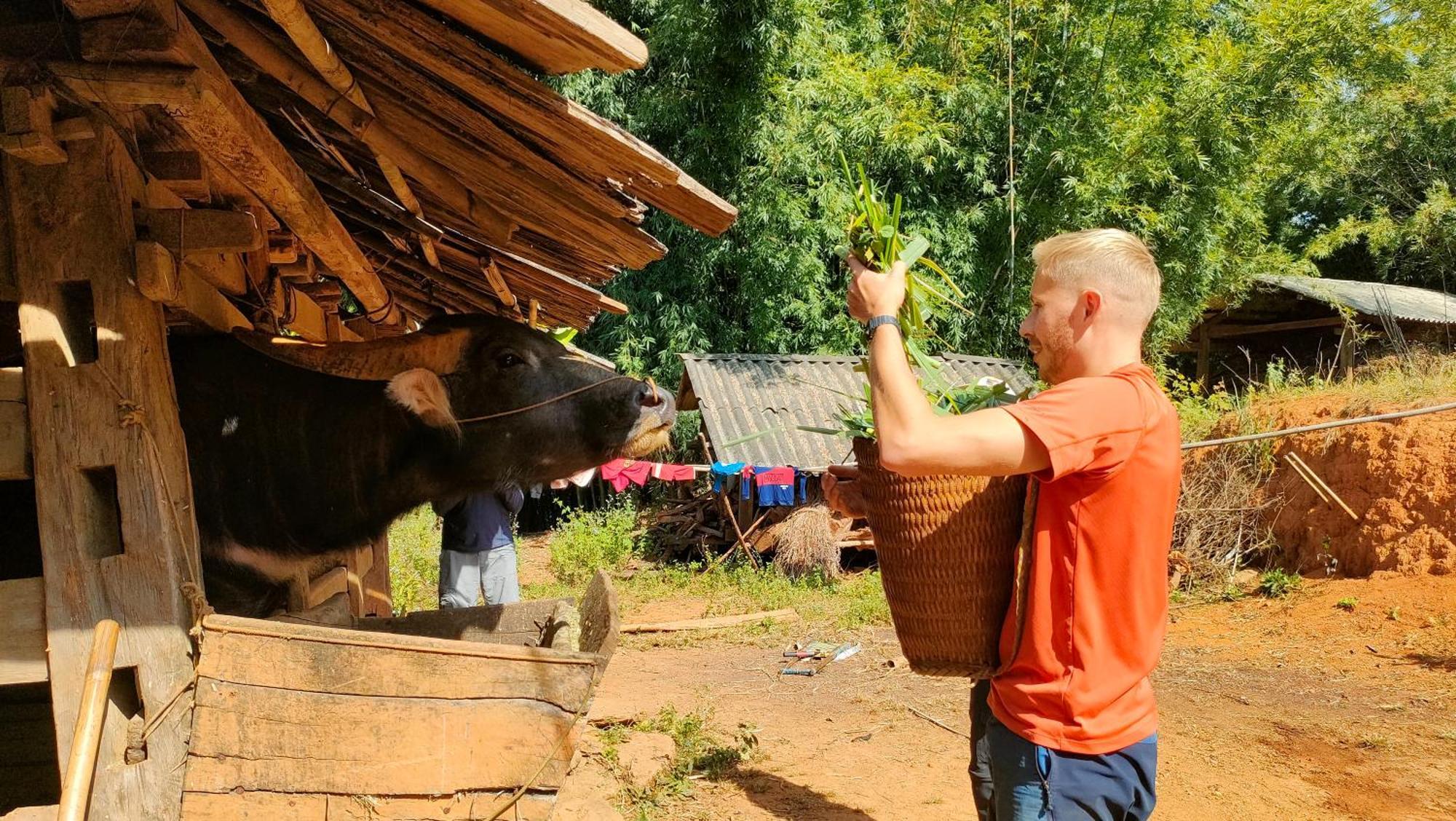 Indigenous Homestay- Trek- Food- Bus Mu Cang Chai Exterior photo